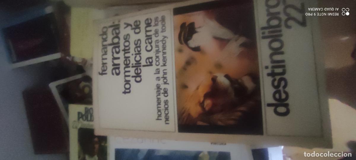Libros de segunda mano: TORMENTOS Y DELICIAS DE LA CARNE. HOMENAJE A LA CONJURA... FERNANDO ARRABAL. EDITORIAL DESTINO