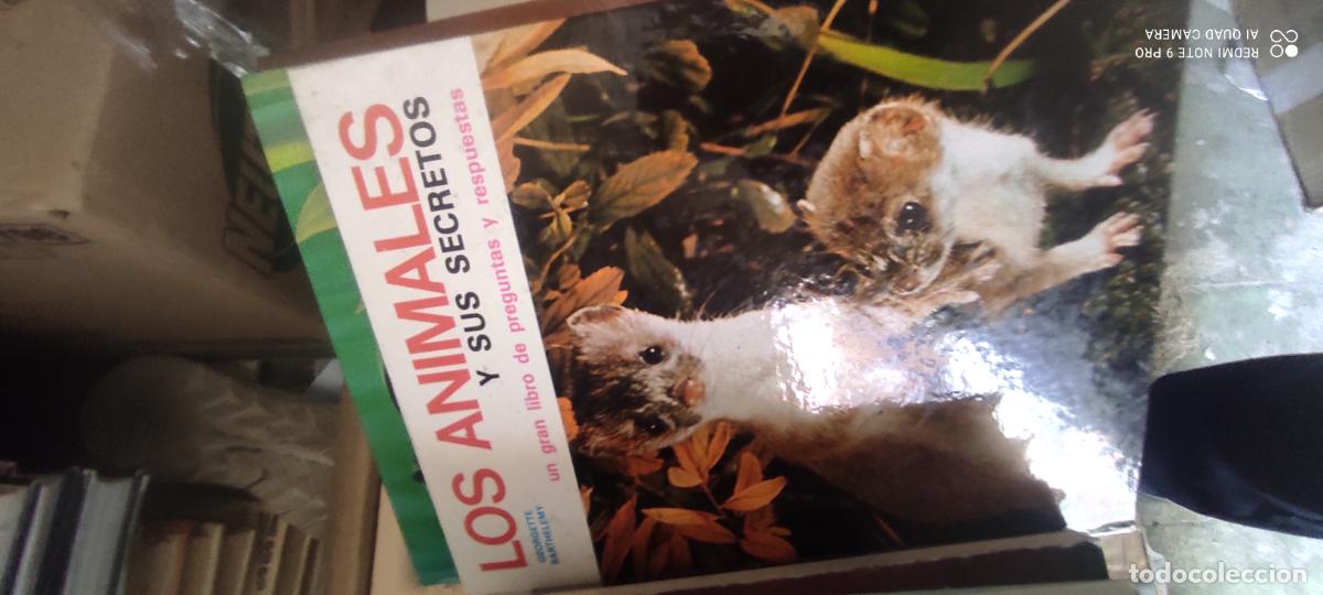 Libros de segunda mano: LOS ANIMALES Y SUS SECRETOS - EDITORIAL FHER - GRAN LIBRO DE PREGUNTAS Y RESPUESTAS-A&Ntilde;O 1980