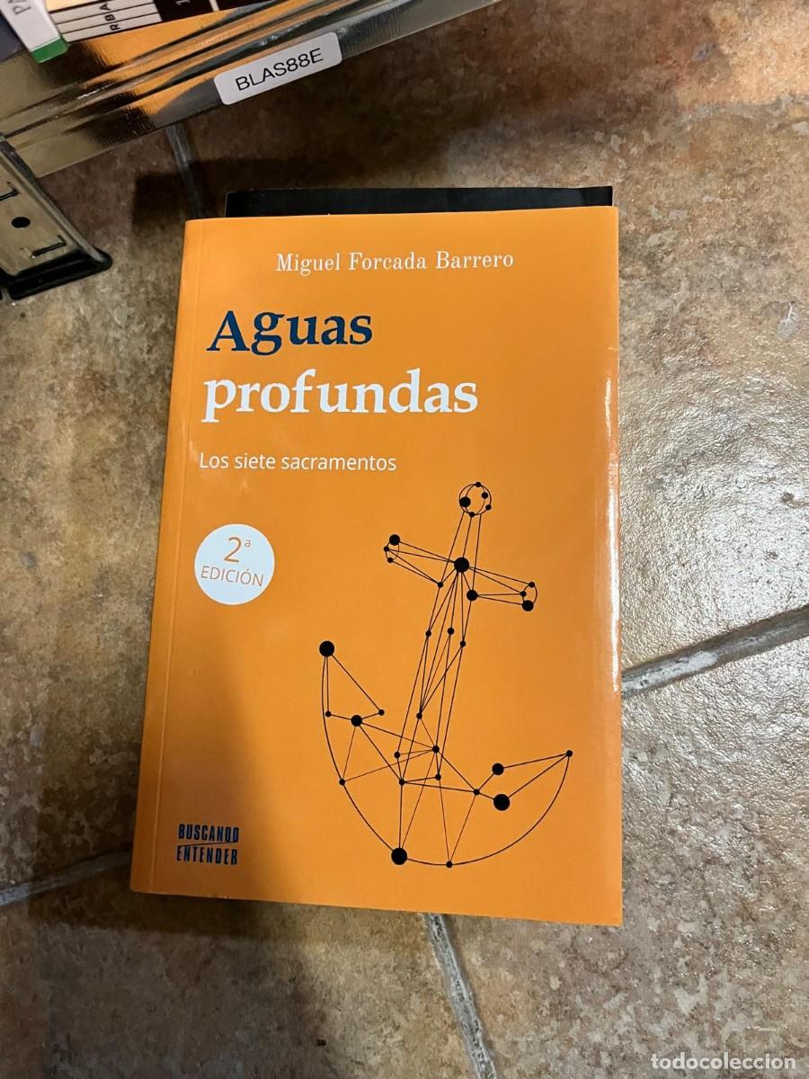 Libros de segunda mano: BLAS88E Aguas profundas. Los siete sacramentos &mdash; Miguel Forcada Barrero. Buscando Entender.