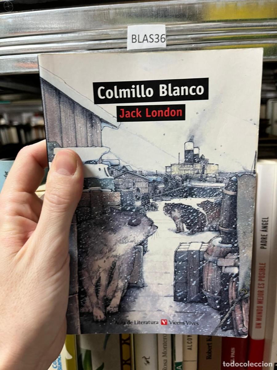 Libros de segunda mano: BLAS36 &ndash; Jack London &ndash; Colmillo Blanco &ndash; Vicens Vives.
