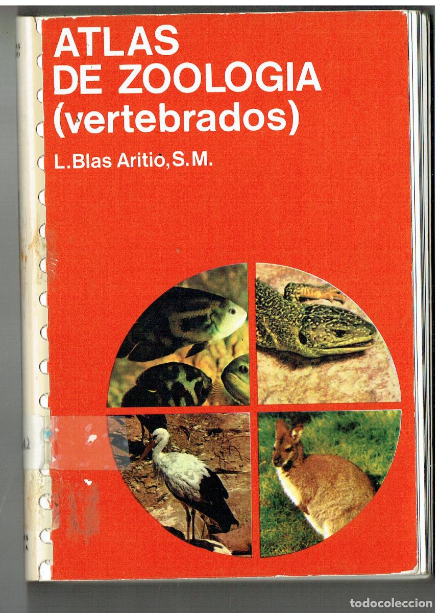 Libros de segunda mano: ATLAS DE ZOOLOG&Iacute;A. (VERTEBRADOS). L- BLAS ARITIO, S.M. EDICIONES JOVER. 6&ordf; EDC. 1972.(Z34.1)