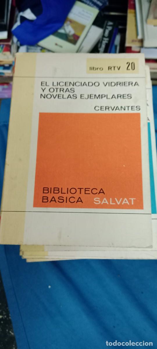 Libros de segunda mano: LOTE DE 18 LIBROS DE BIBLIOTECA BASICA SALVAT LOS DE FOTO LIBRO M-JYE