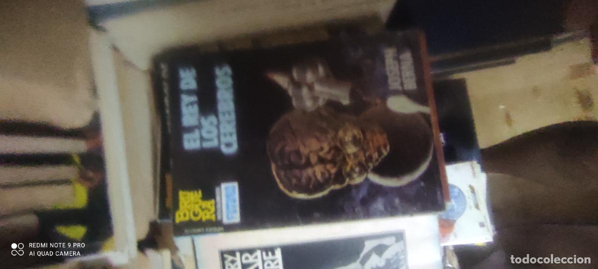 Libros de segunda mano: C. Fi. El rey de los cerebros