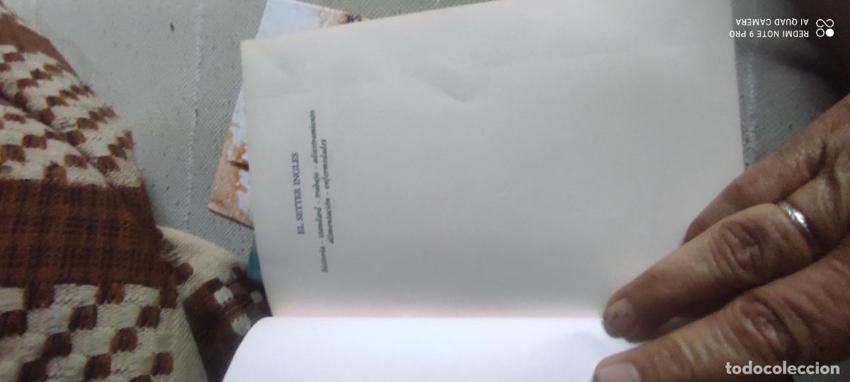 Libros de segunda mano: EL SETTER INGLES FLORENZO FIORONE l