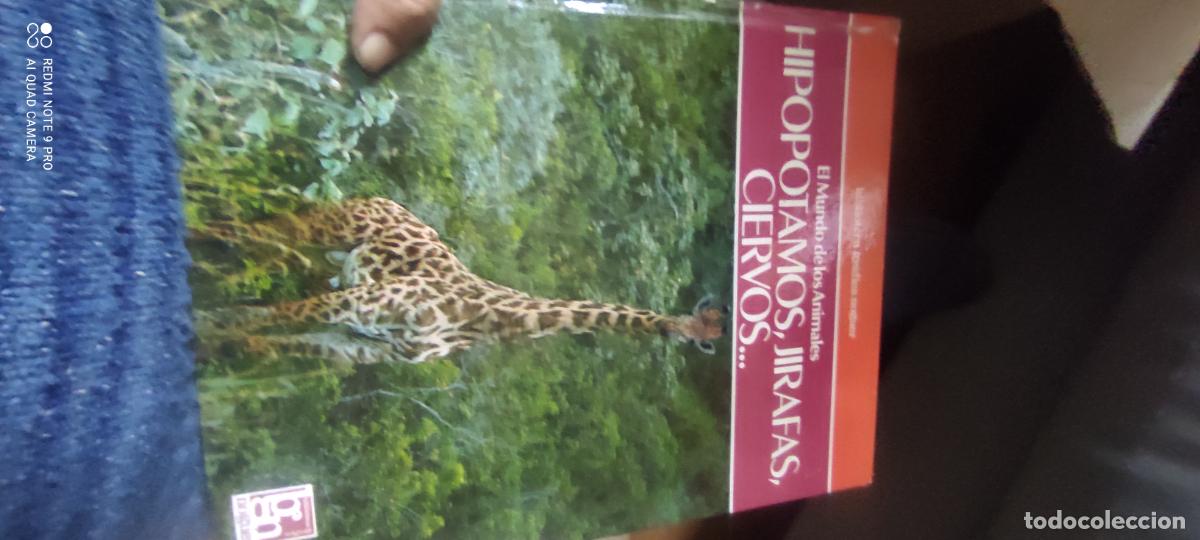 Libros de segunda mano: EL MUNDO DE LOS ANIMALES - HIPOPOTAMOS, JIRAFAS, CIERVOS....- BIBLIOTECA GRAFICA NOGUER 1980