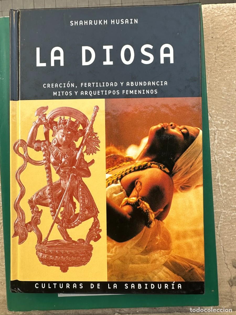 Libros de segunda mano: Shahrukh Husain - La Diosa - Foto 1