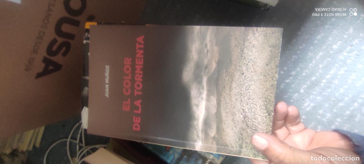 Libros de segunda mano: Juan Mu&ntilde;oz. El color de la tormenta