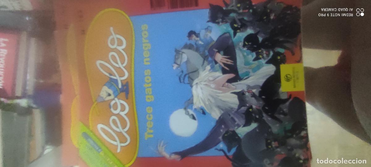 Libros de segunda mano: Leo Leo, Trece gatos negros