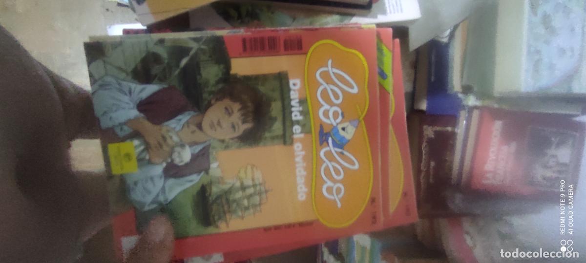 Libros de segunda mano: Leo Leo, DAvid el olvidado