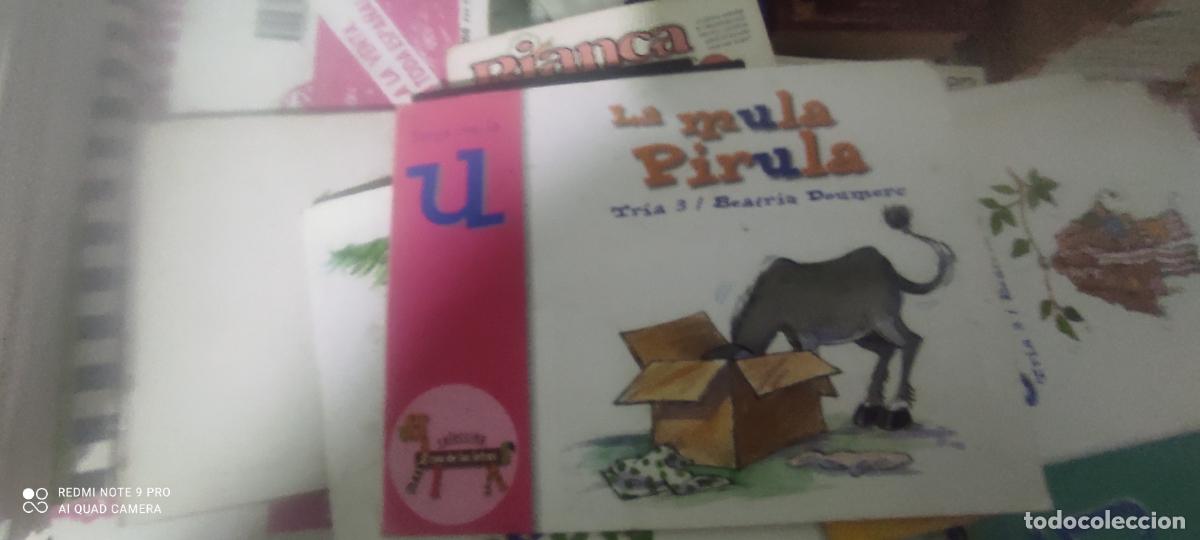 Libros de segunda mano: COLECCION EL ZOO DE LAS LETRAS 2004 La mula pirula