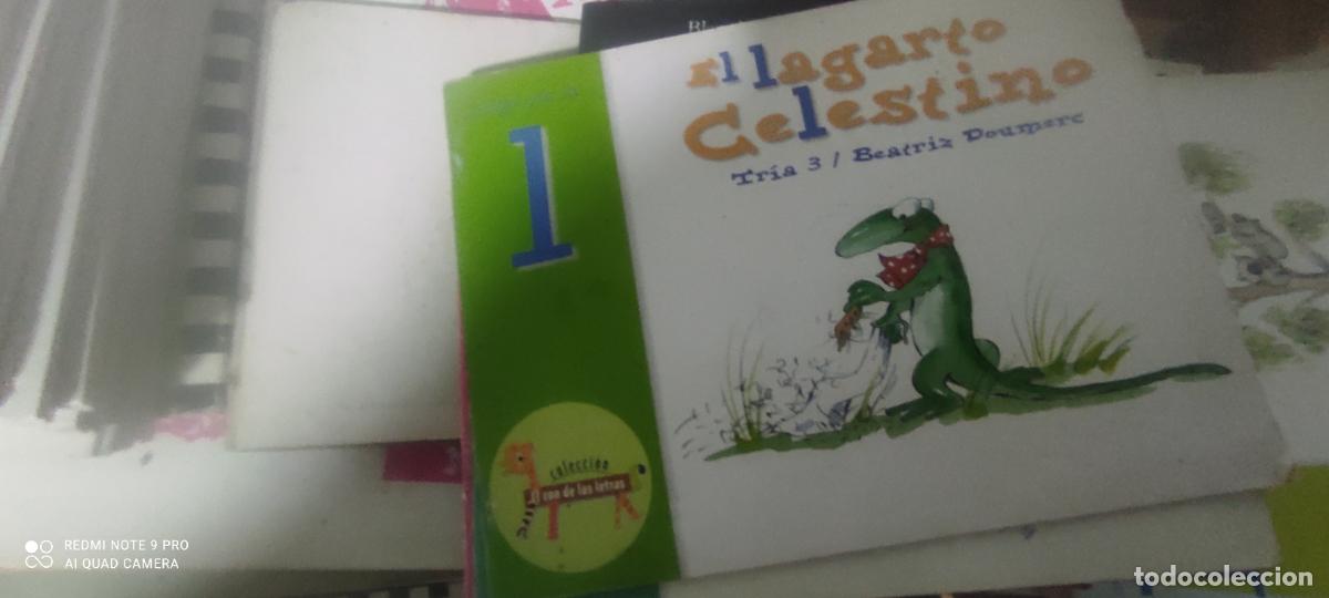 Libros de segunda mano: COLECCION EL ZOO DE LAS LETRAS 2004 El lagarto Celeste