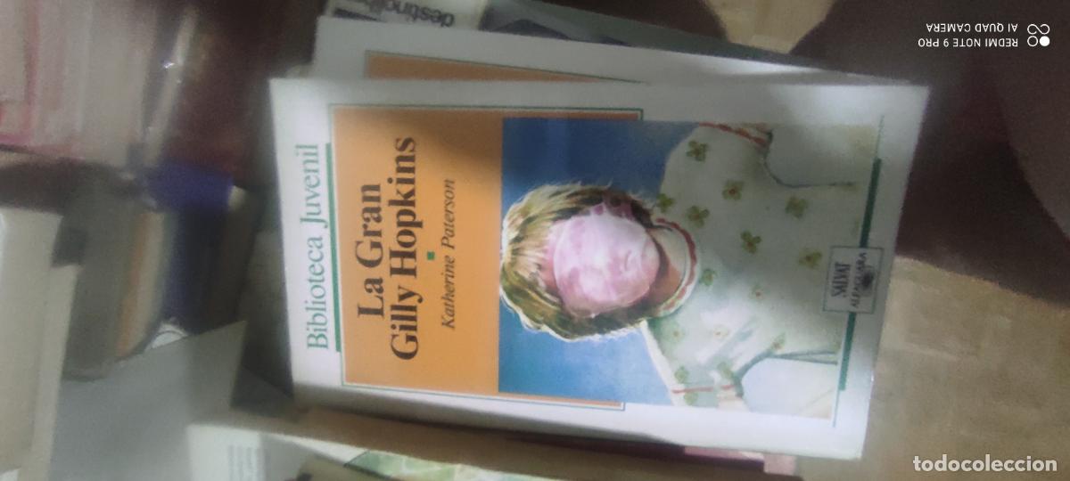 Libros de segunda mano: La Gran Gilly Hopkins.- Paterson, Katherine