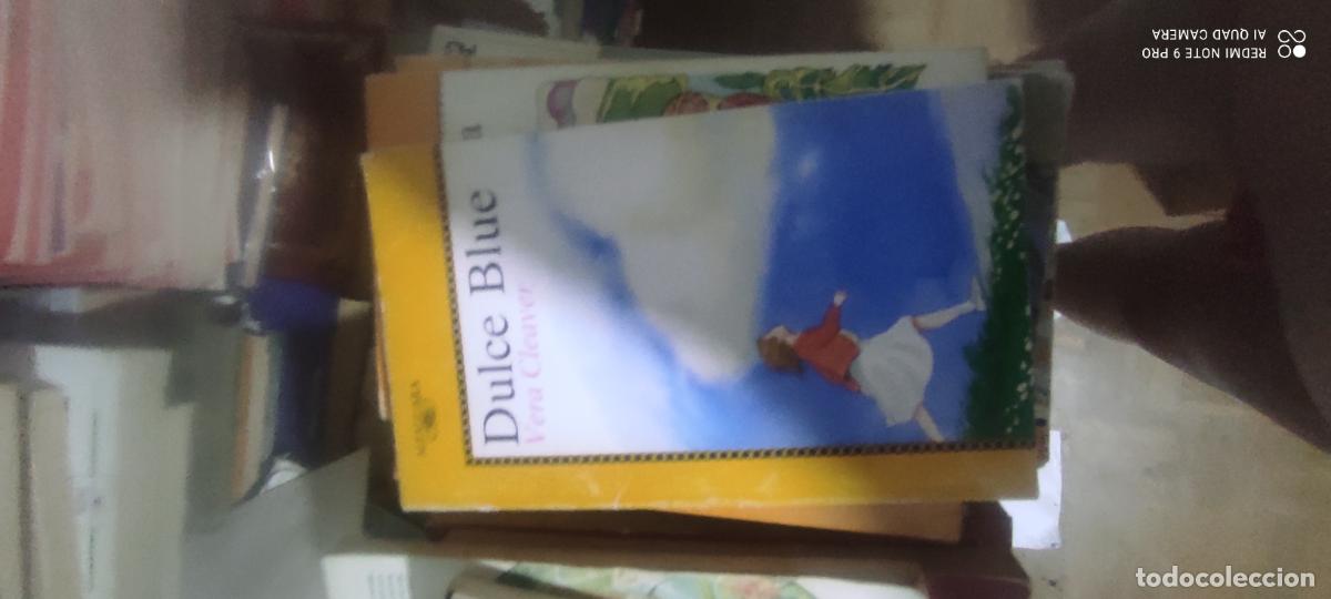 Libros de segunda mano: DULCE BLUE - CLEAVER, VERA l