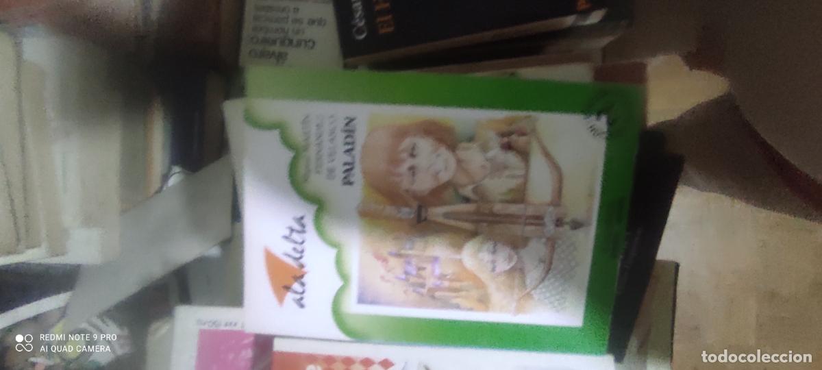 Libros de segunda mano: PALADIN DE MIGUEL MARTIN FERNANDEZ DE VELASCO