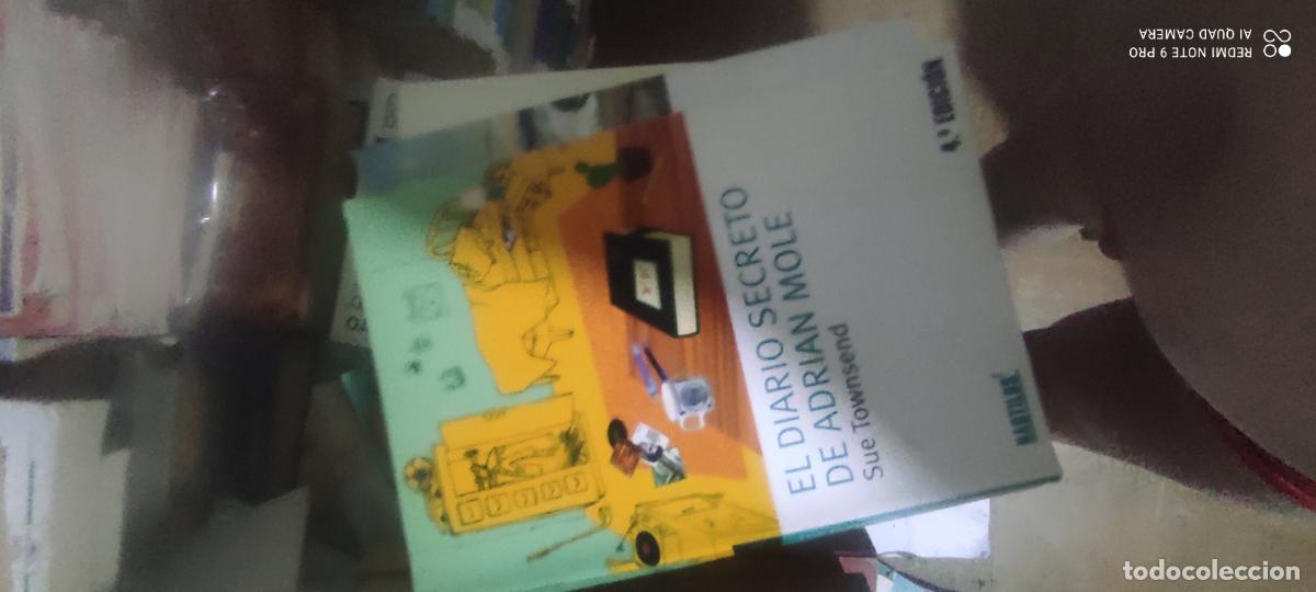 Libros de segunda mano: EL DIARIO SECRETO DE ADRI&Aacute;N MOLE/SUE TOWNSEND
