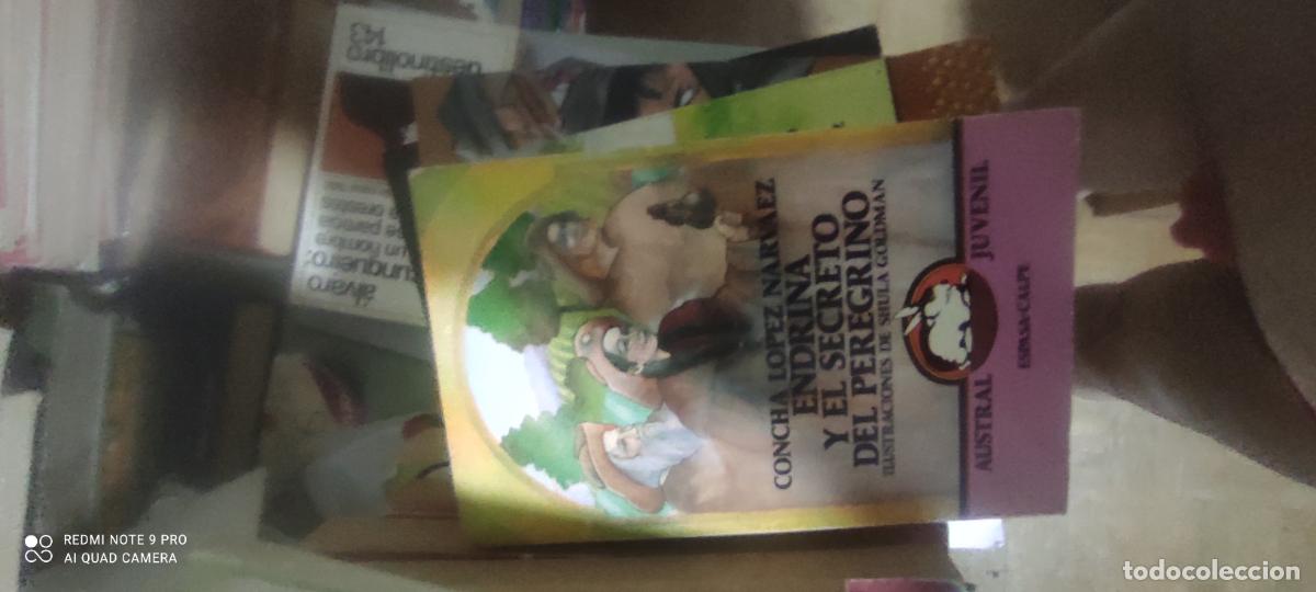 Libros de segunda mano: Endrina y el secreto del peregrino.- L&oacute;pez Narv&aacute;ez, Concha