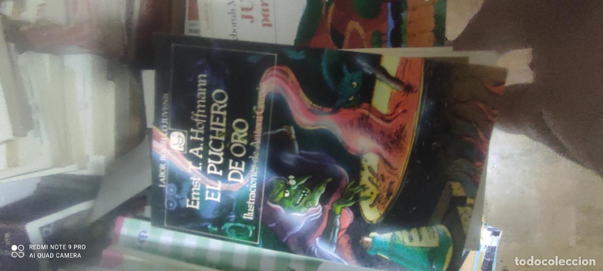 Libros de segunda mano: El puchero de oro. Ernst T. A. Hoffmann