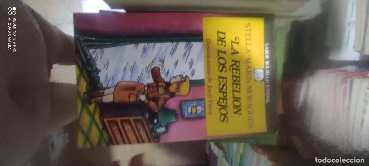 Libros de segunda mano: LA REBELI&Oacute;N DE LOS ESPEJOS - STELLA MARIS MORAGUES - ED. LABOR 1988