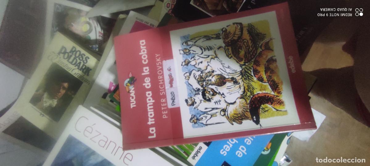 Libros de segunda mano: Peter Sichrovsky - La Trampa De La Cobra