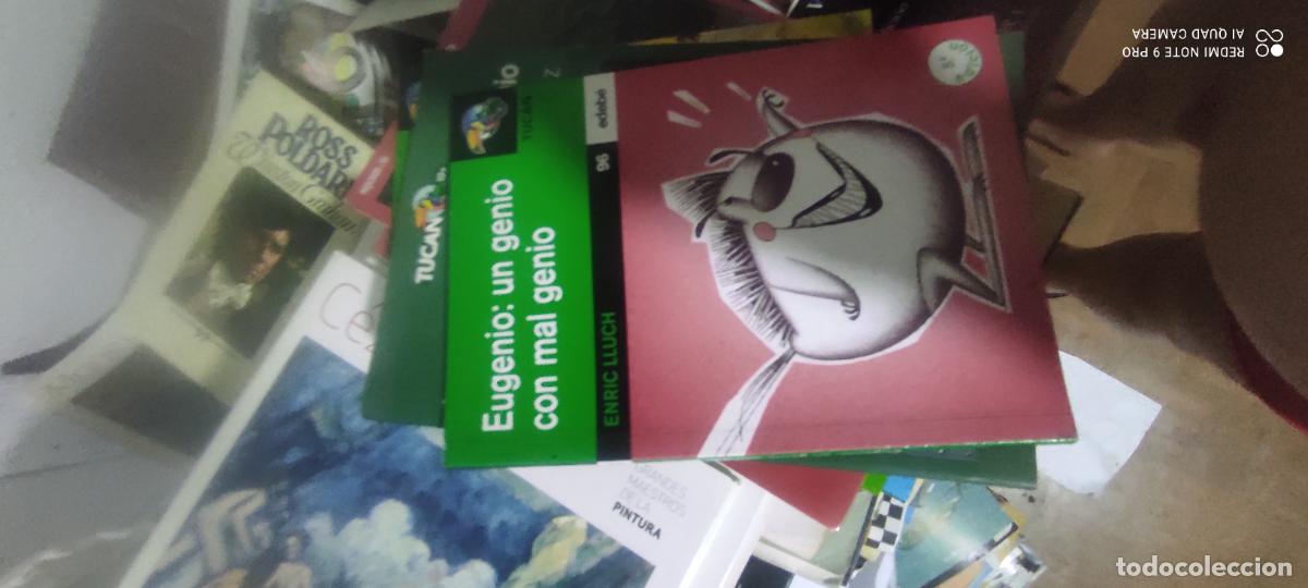 Libros de segunda mano: Eugenio: un genio con mal genio.- Lluch, Enric