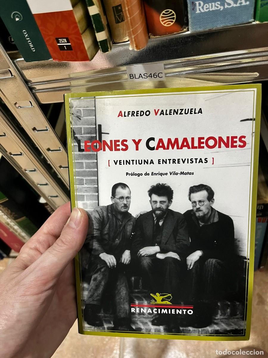 Libros de segunda mano: BLAS46C &mdash; Leones y camaleones. Veintiuna entrevistas &mdash; Alfredo Valenzuela &mdash; Renacimiento