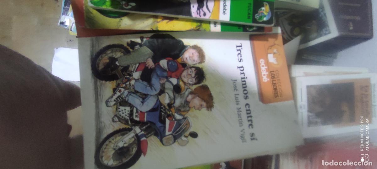Libros de segunda mano: Tres primos entre s&iacute;.- Mart&iacute;n Vigil, Jos&eacute; Luis