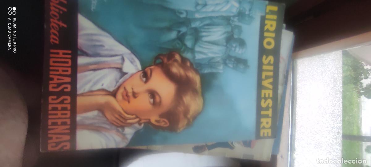 Libros de segunda mano: Biblioteca Horas Serenas. Lirio Silvestre