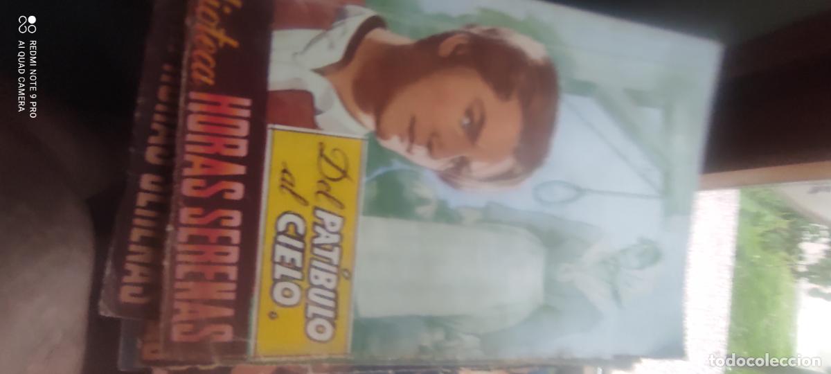 Libros de segunda mano: Biblioteca Horas Serenas. Del pat&iacute;bulo al cielo