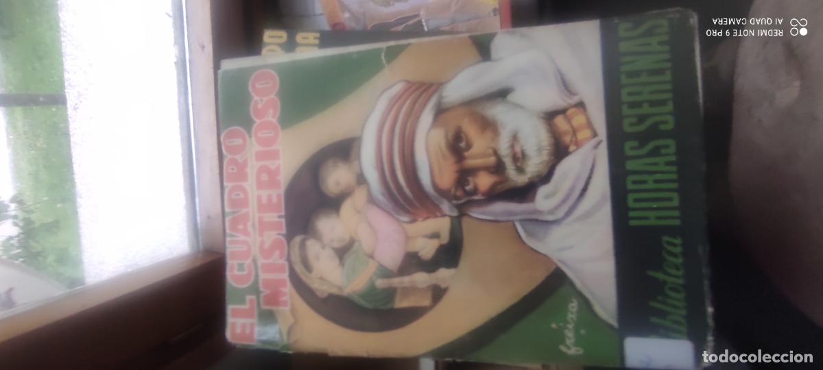 Libros de segunda mano: Biblioteca Horas Serenas. El cuadro misterioso