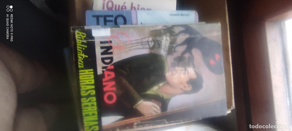Libros de segunda mano: Biblioteca Horas Serenas. Indiano