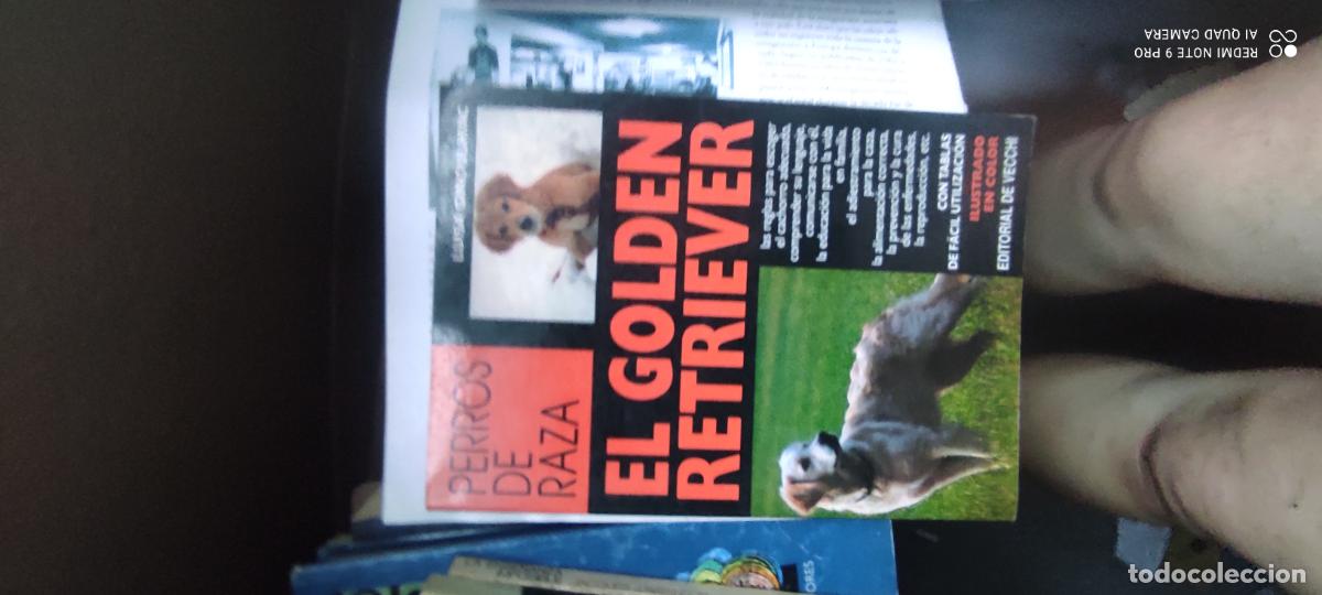 Libros de segunda mano: El golden retriever: Ginoulhiac, Luisa.-