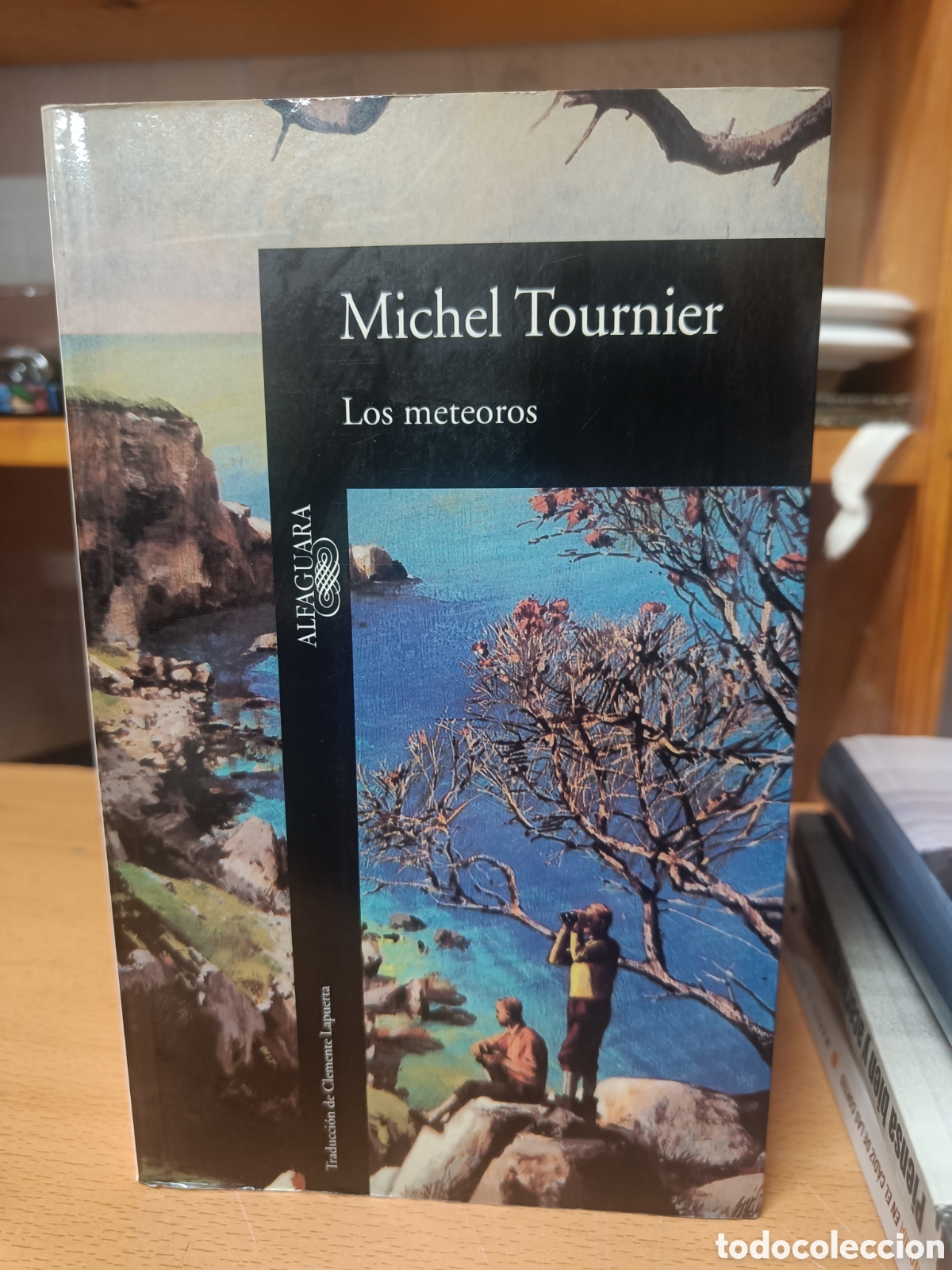 Libros de segunda mano: LOS METEOROS. MICHEL TOURNIER.
