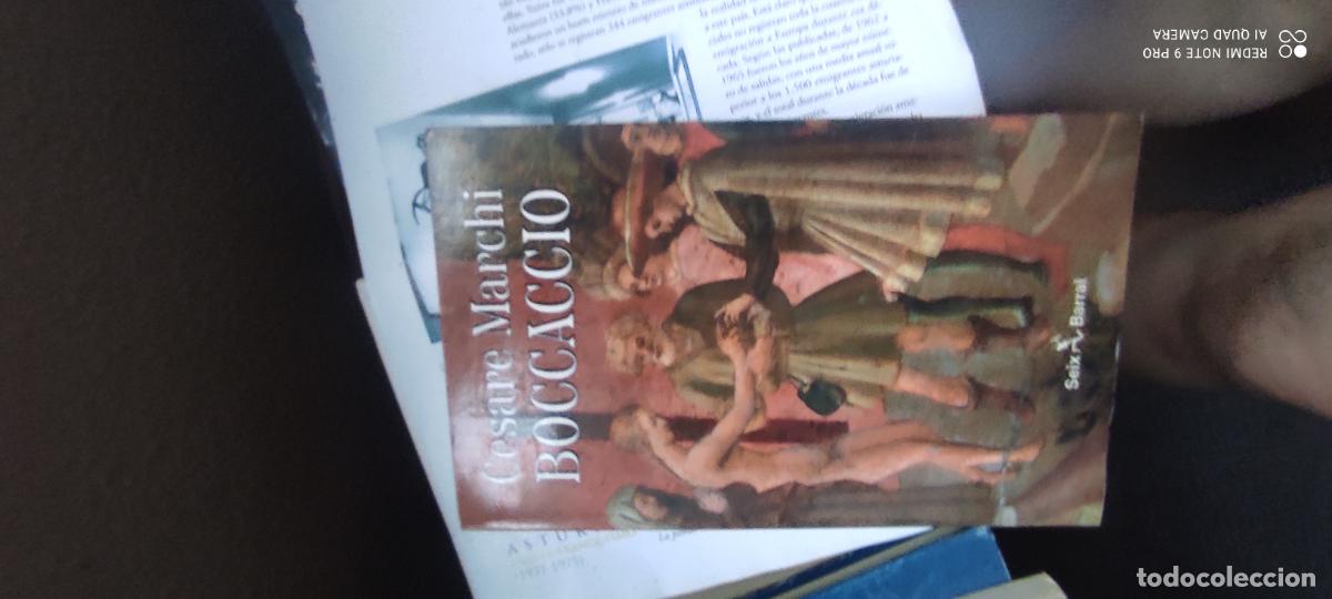 Libros de segunda mano: CESARE MARCHI Bocaccio