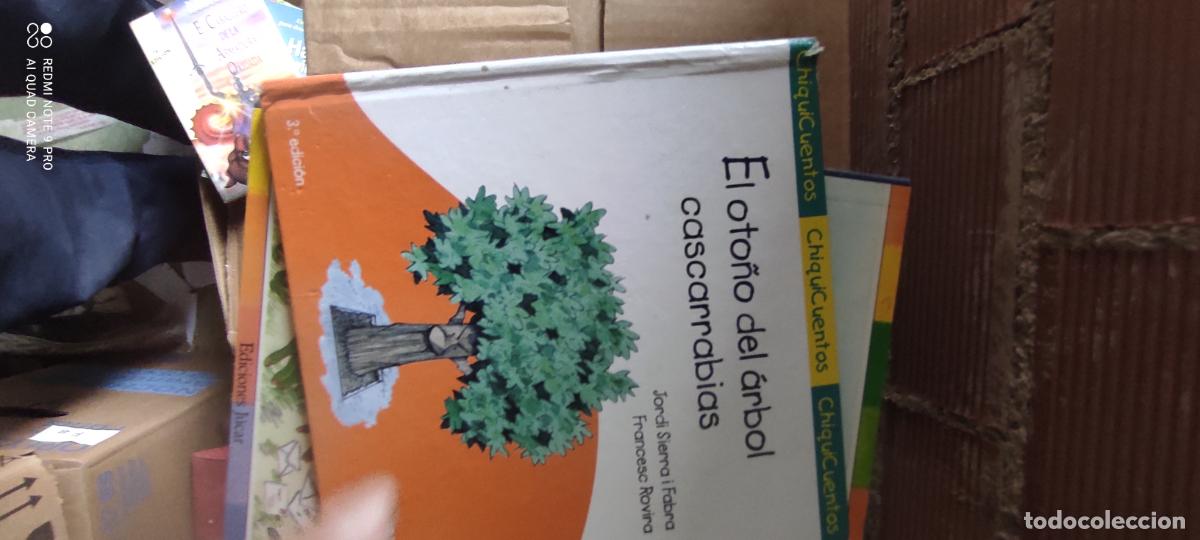 Libros de segunda mano: EL OTO&Ntilde;O DEL &Aacute;RBOL CASCARRABIAS - Sierra I Fabra, Jordi