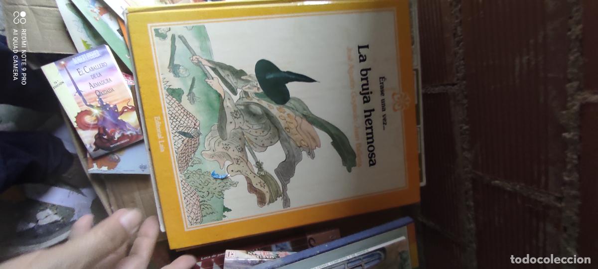 Libros de segunda mano: La bruja hermosa - Jos&eacute; Agust&iacute;n Goytisolo