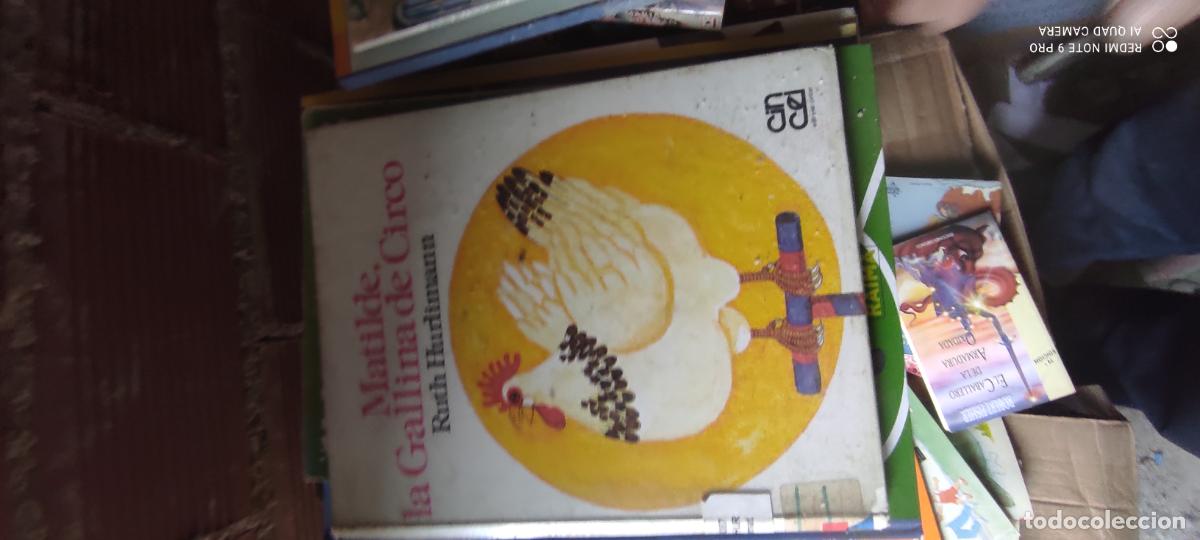 Libros de segunda mano: MATILDE, LA GALLINA DE CIRCO, RUTH HURLIMANN, EDITORIAL CINCEL 1984