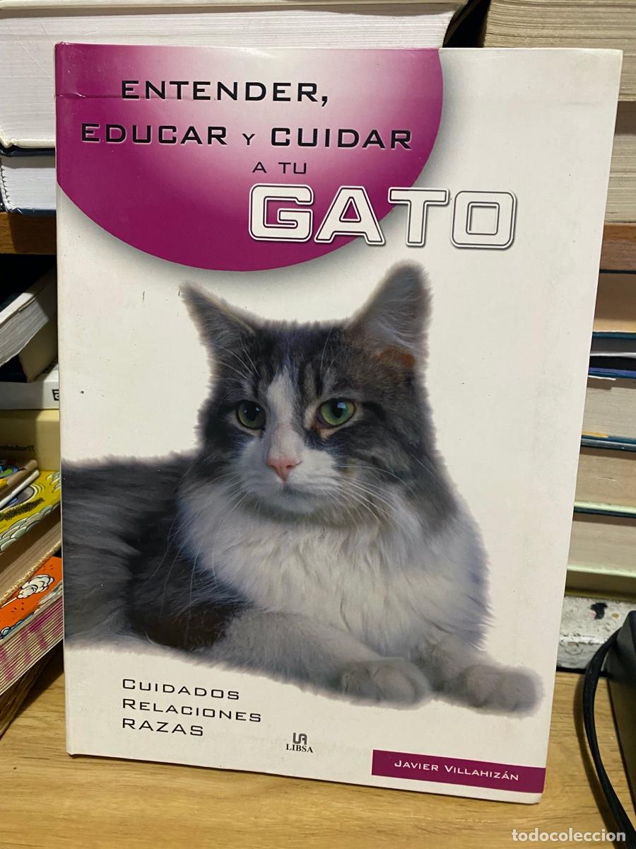 Libros de segunda mano: ENTENDER, EDUCAR Y CUIDAR A TU GATO, JAVIER VILLAHIZAN, EDT. LIBSA