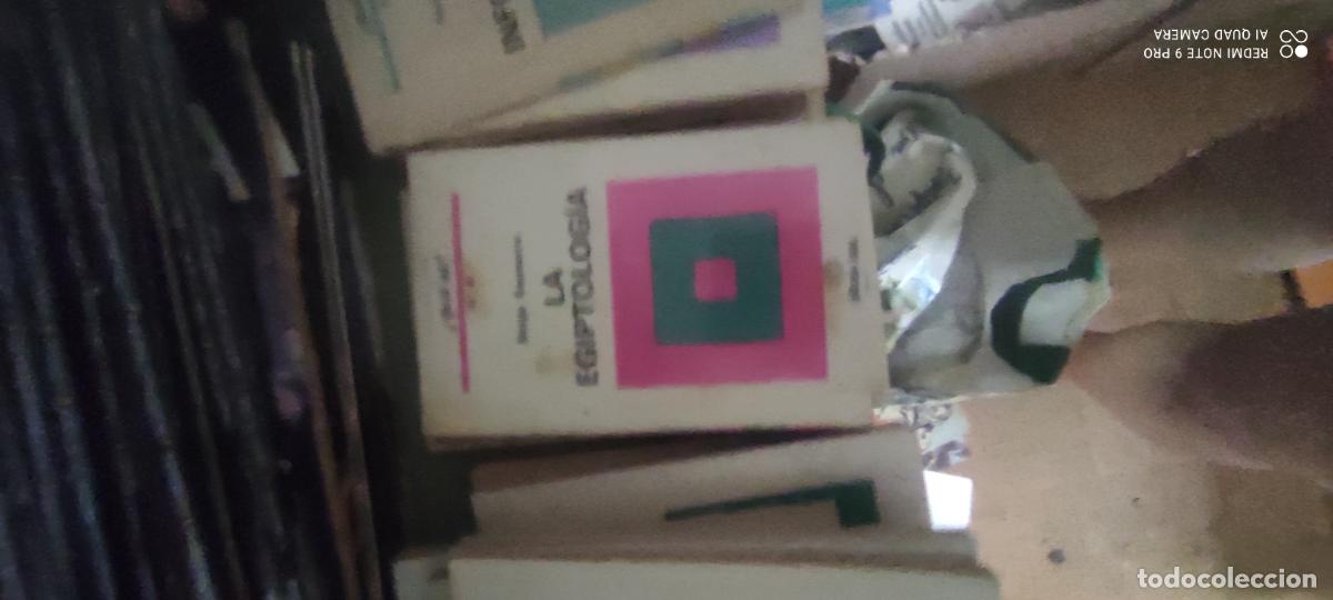 Libros de segunda mano: LA EGIPTOLOG&Iacute;A - SAUNERON, SERGE. COLECCION &iquest;QUE SE? N&ordm; 40. OIKOS TAU