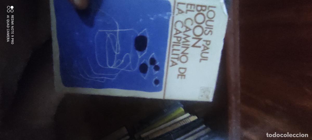 Libros de segunda mano: EL CAMINO DE LA CAPILLITA DE LOUIS PAUL BOON