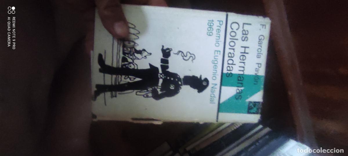 Libros de segunda mano: LAS HERMANAS COLORADAS --- F. GARCIA DE PAVON