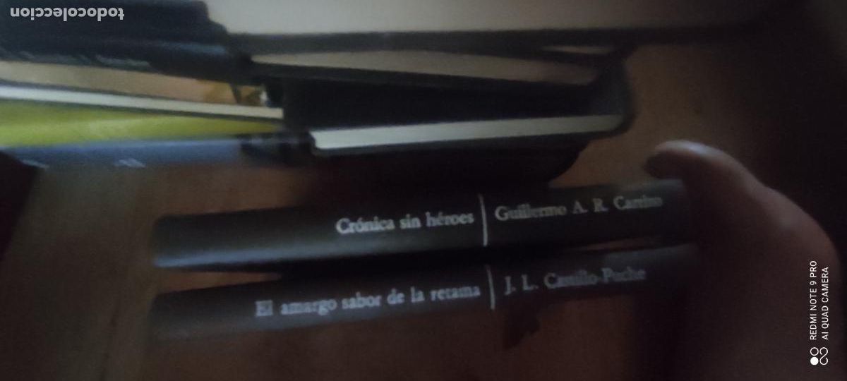 Libros de segunda mano: Cr&oacute;nica sin h&eacute;roes - Carrizo, Guillermo Ariel Ram&oacute;n: