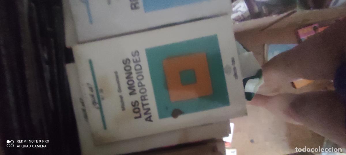 Livros em segunda m&atilde;o: LOS MONOS ANTROPOIDES. COLECCI&Oacute;N &iquest;QU&Eacute; S&Eacute;? N&ordm; 33. - MICHEL GOUSTARD l