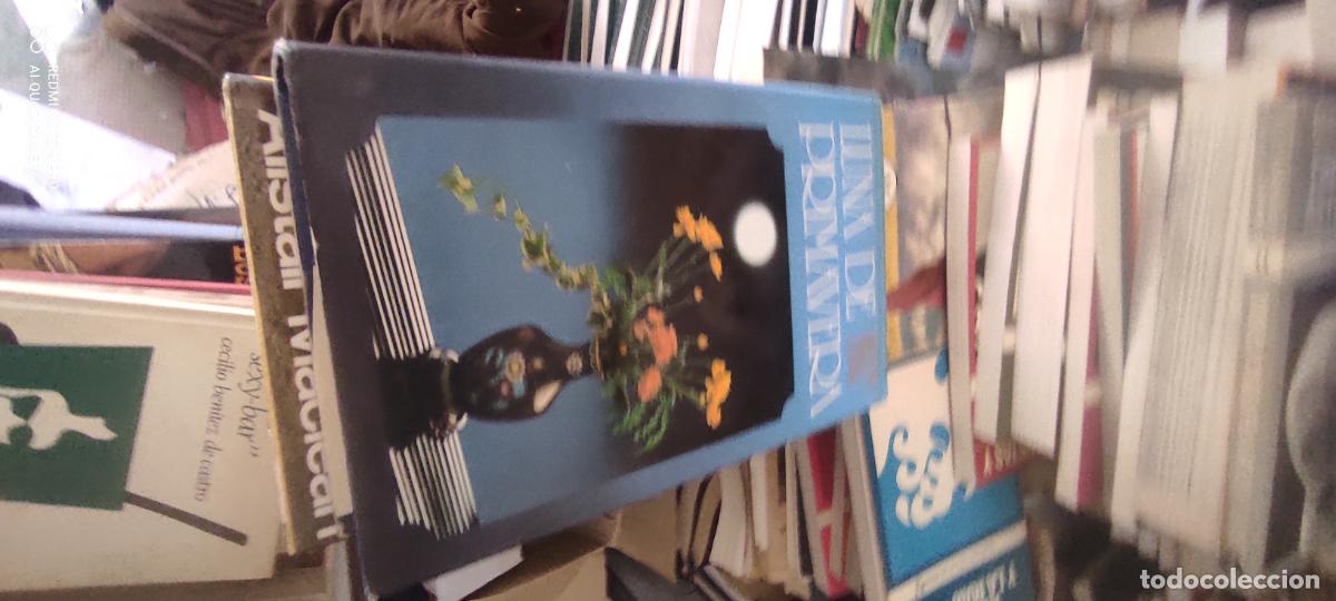 Livres d'occasion: Luna de primavera - Bao Lord, Bette