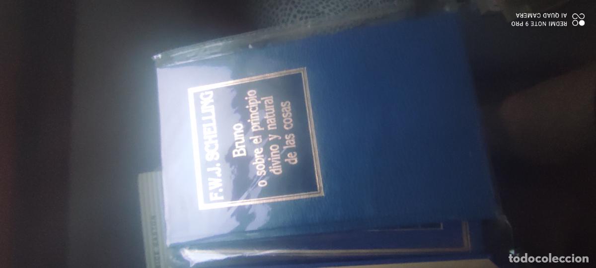 Libros de segunda mano: F. W. J. Schelling. Bruno o sobre el principio divino y natural de las cosas. Orbis