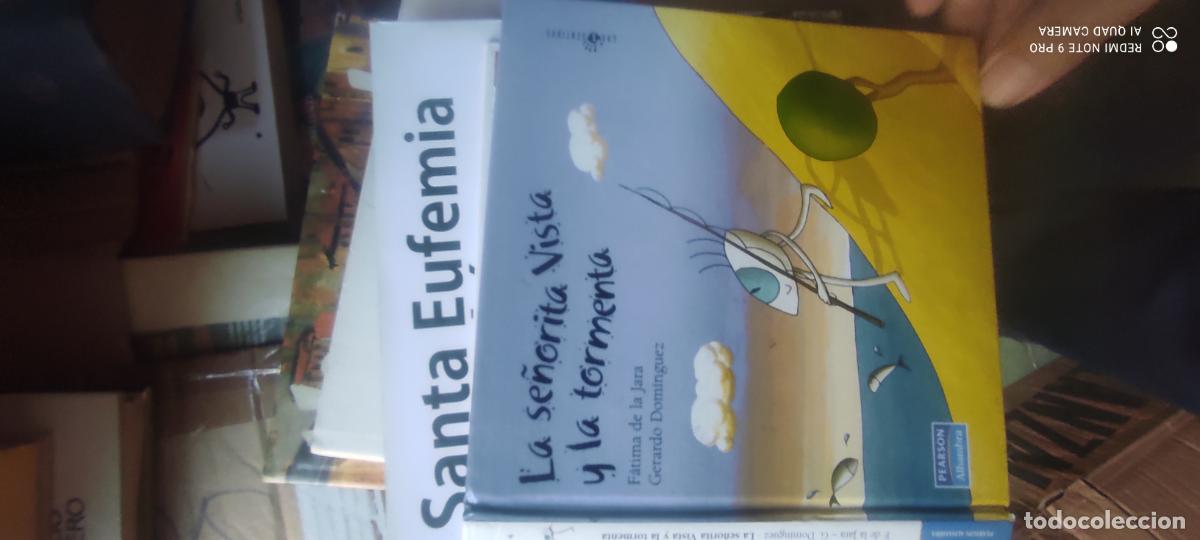 Libros de segunda mano: La se&ntilde;orita Vista y la tormenta- l