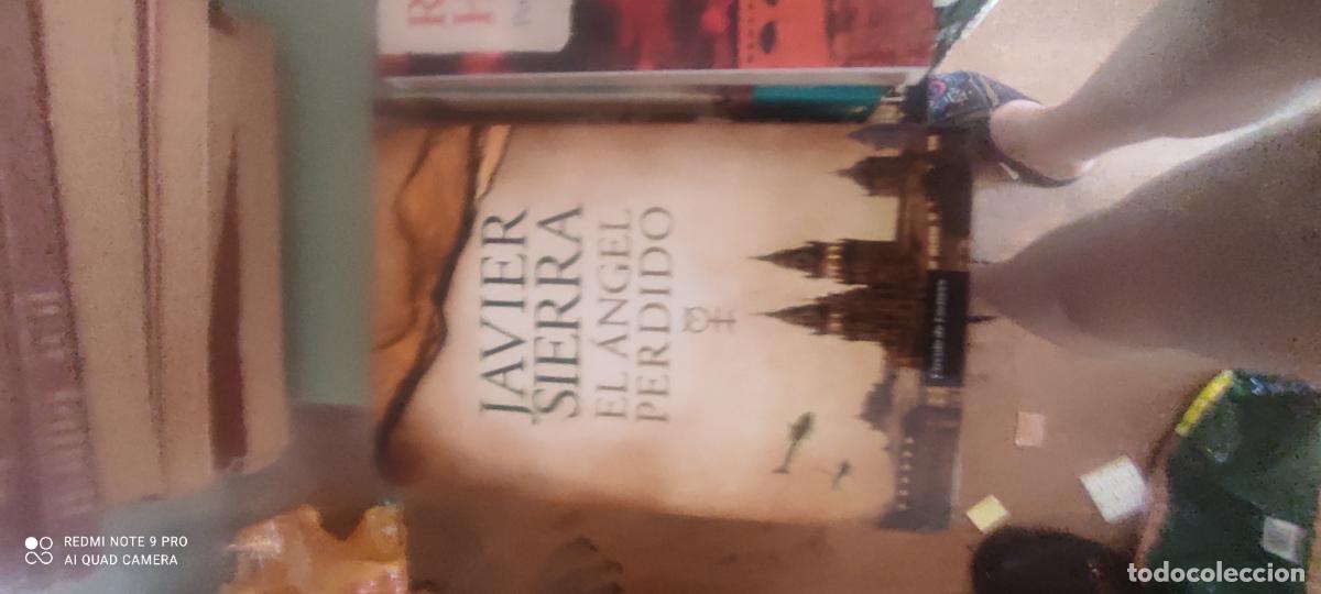 Libros de segunda mano: Sierra. El angel perdido