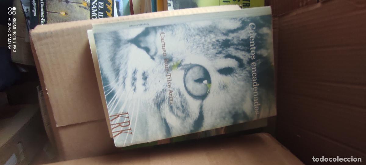 Libros de segunda mano: Cuentos encadenados - Carmen Ruiz-Tilve Arias