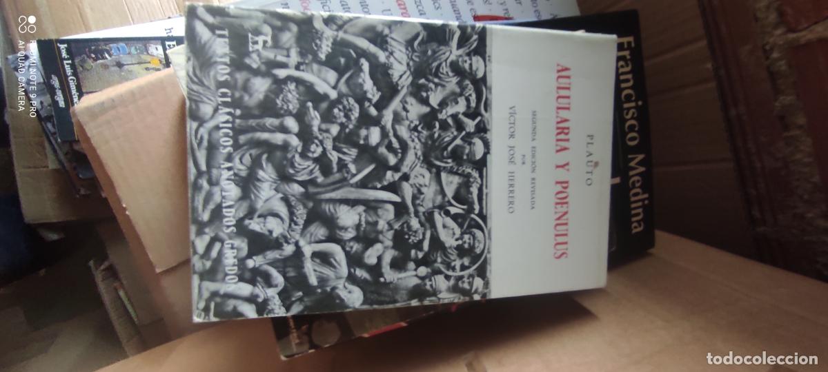 Libros de segunda mano: AULULARIA Y POENULUS -- PLAUTO -- VICTOR JOSE HERRERO -- GREDOS 1978 --