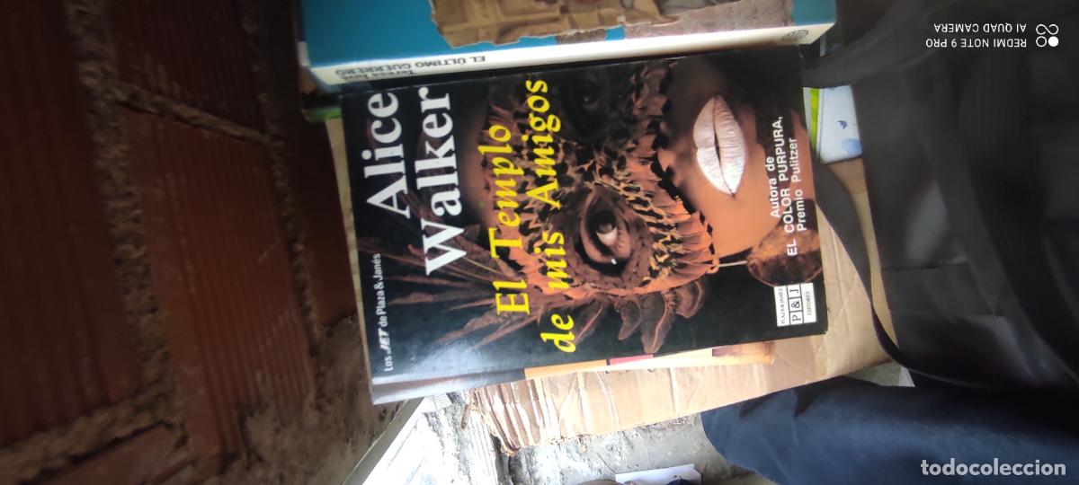 Livres d'occasion: Walker. El templo de los amigos