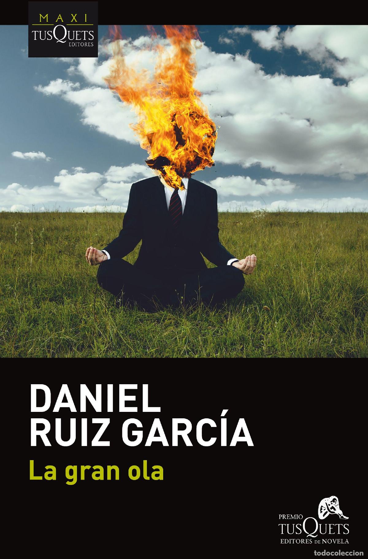 Libros de segunda mano: La gran ola. - Ruiz Garc&iacute;a, Daniel.